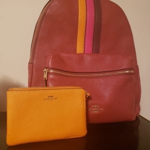 EXTRA LARGE Backpack and New wallet